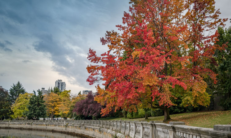 Toronto stores open thanksgiving monday