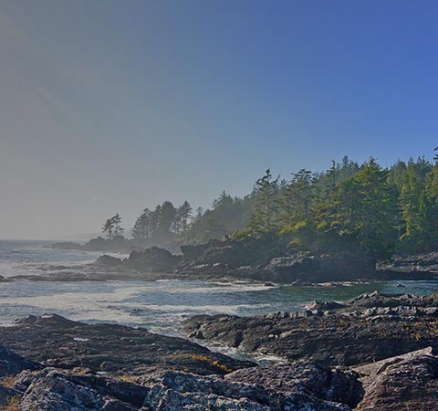 Port Renfrew - Port Renfrew | BC Ferries Vacations