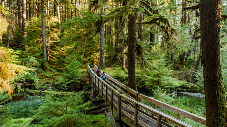 4-Night Haida Gwaii Bed and Breakfast Package | BC Ferries Vacations